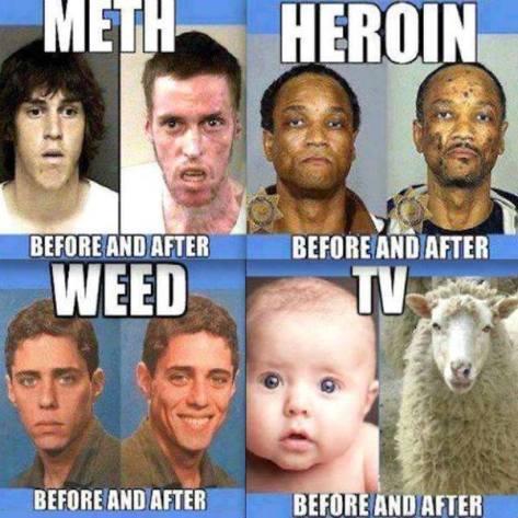meth, weed, tv, heroin.jpg